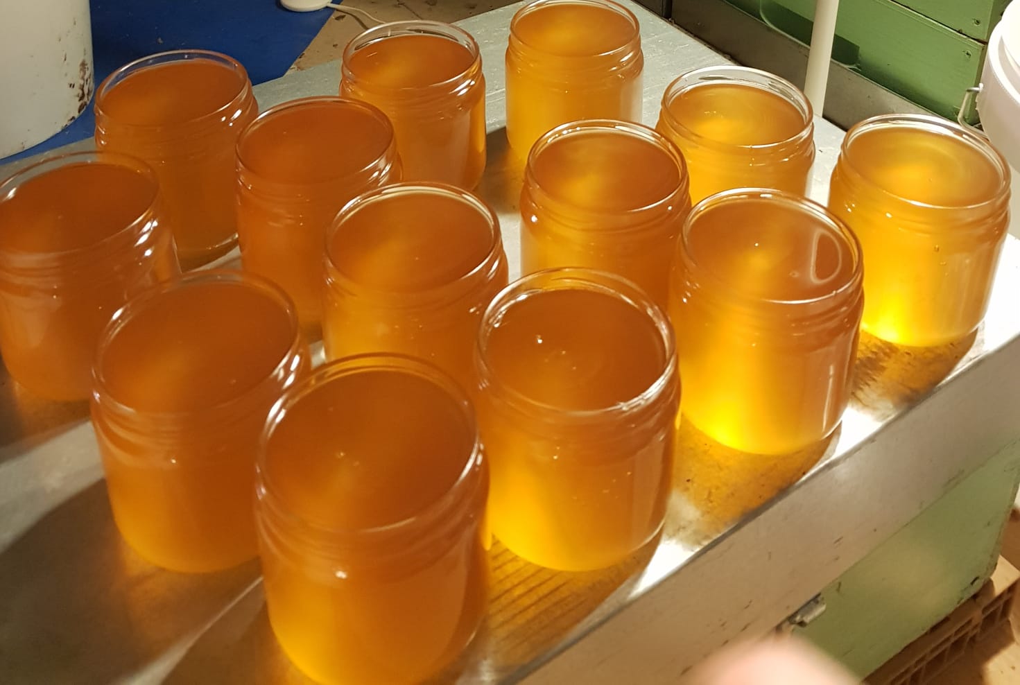 Déguster et valoriser les miels