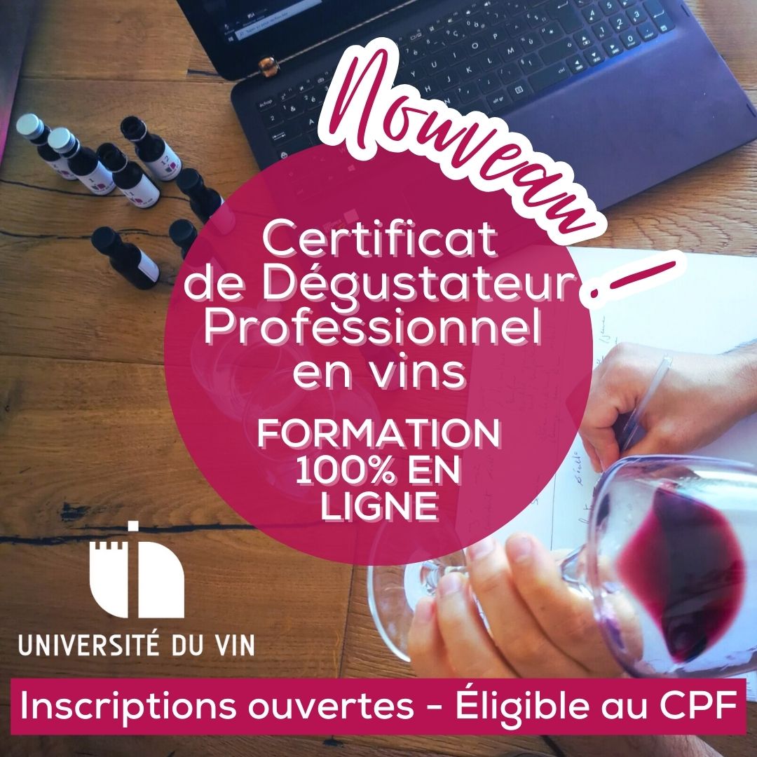 « Dégustateur professionnel » : la nouvelle formation 100% en ligne de l’Université du Vin