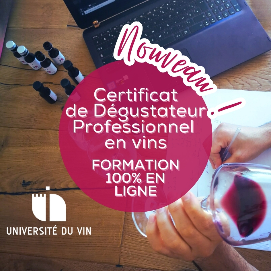 « Dégustateur professionnel » : la nouvelle formation 100% en ligne de l’Université du Vin