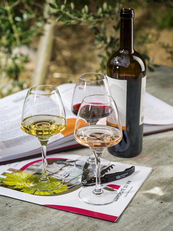 Certificat Vins et Terroirs de France MODULE 2