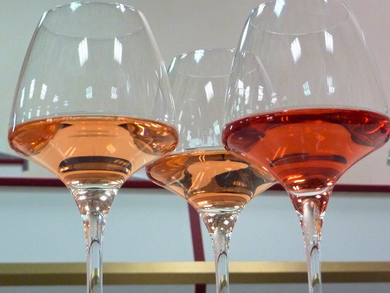 Connaître les vins de Provence et de Corse
