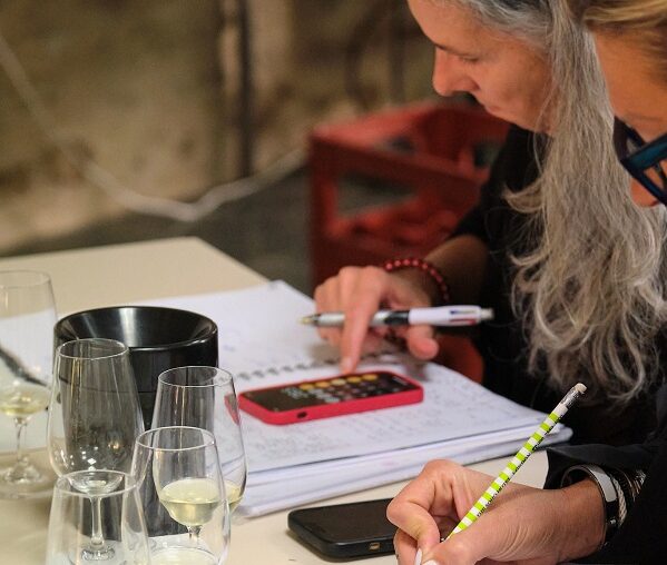 Comprendre l&rsquo;organisation des marchés et de la filière : stratégies de distribution