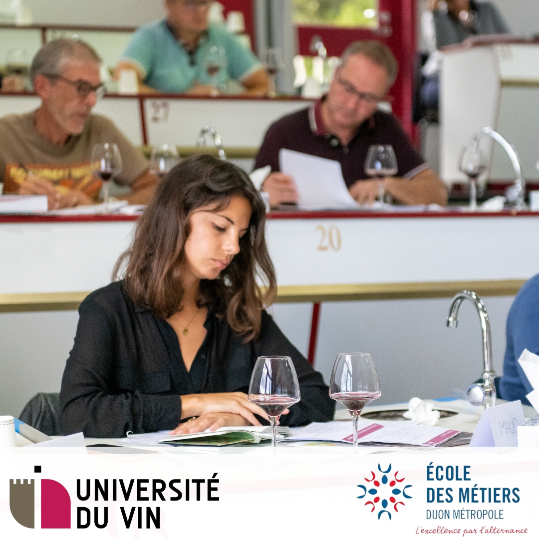 Nouveau : le titre « Sommelier-Conseil, Caviste® » accessible en apprentissage en Bourgogne