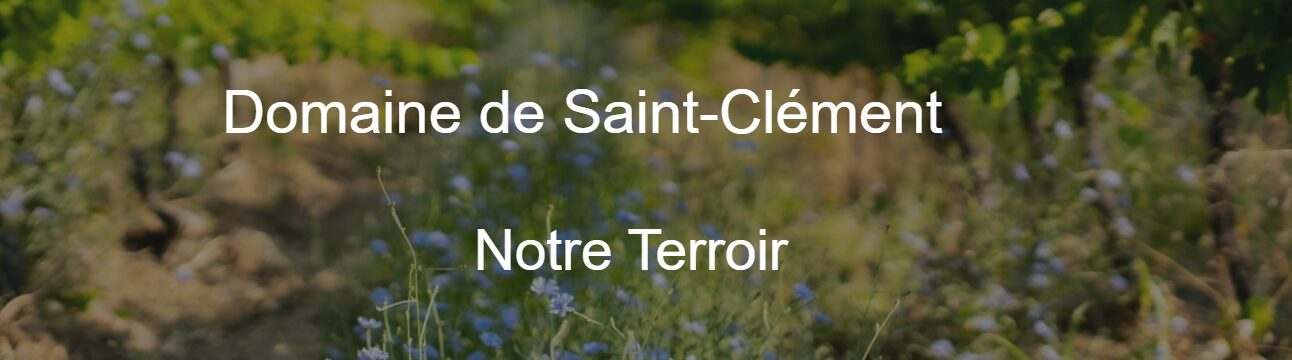 Stage : Viticulture/Oenologie (H/F) - Domaine de Saint-Clément Stage : Viticulture/Oenologie (H/F) – Domaine de Saint-Clément