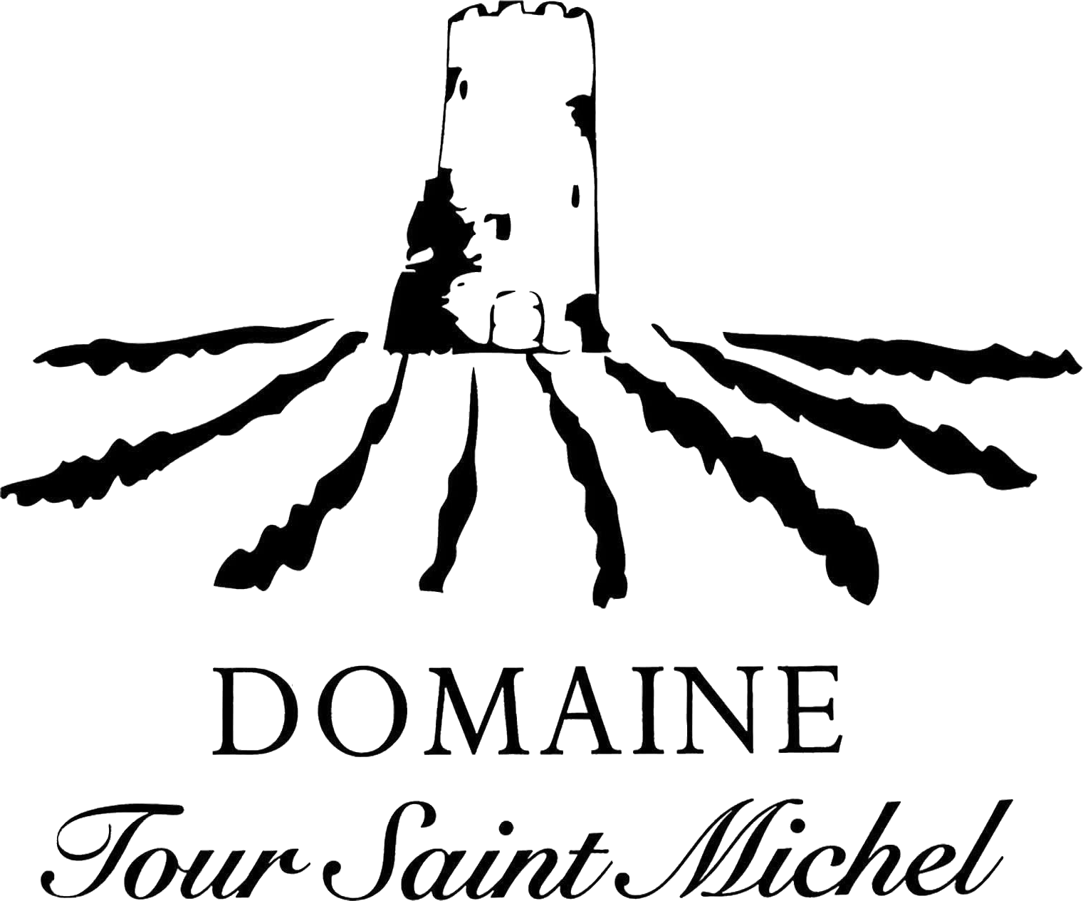 Stage œnotourisme - Domaine Tour Saint Michel Stage œnotourisme – Domaine Tour Saint Michel