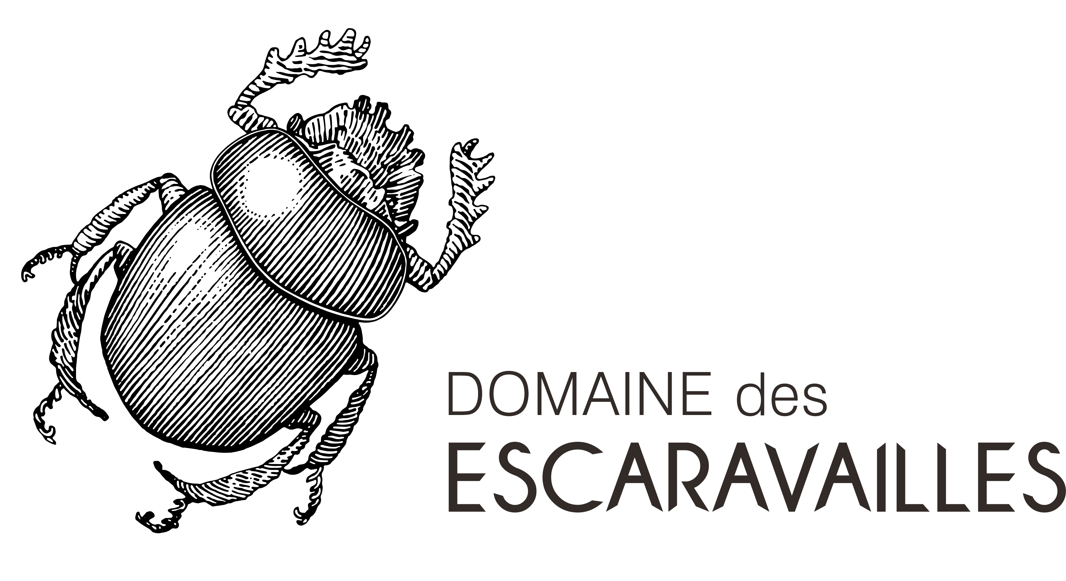Stage / CDD - Vendeur.se caveau (H/F) - Domaine des Escaravailles Stage / CDD – Vendeur.se caveau (H/F) – Domaine des Escaravailles